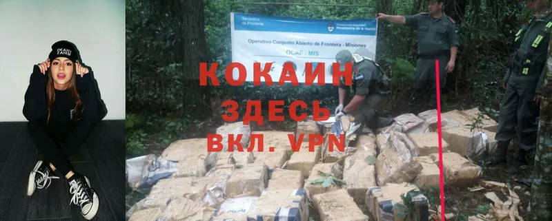 продажа наркотиков  Амурск  Cocaine Columbia 